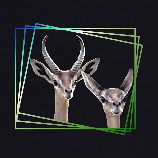 Gerenuk - Gazelle in Kenya / Africa by T-SHIRTS UND MEHR